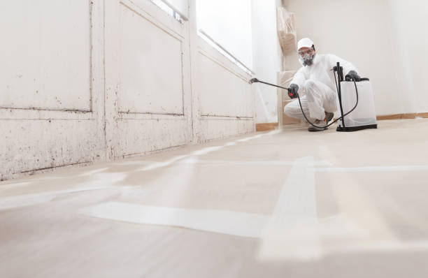 24/7 Emergency Attic Mold Remediation experts in Lanham, MD