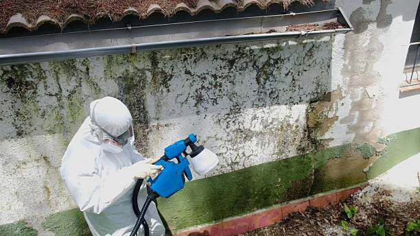 Top rated local Attic Mold Remediation specialists in Lanham, MD